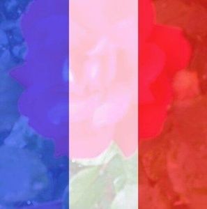 Meet your Posher, Raywattie